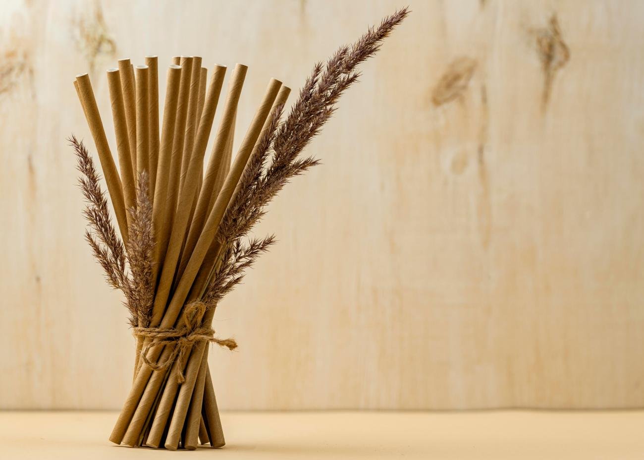 Reed diffuser sticks and their absorption